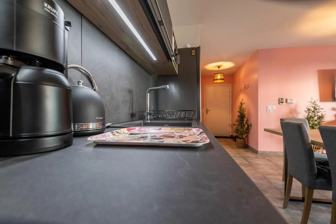 Vire Moulin Furnished Flat Apartment Annecy